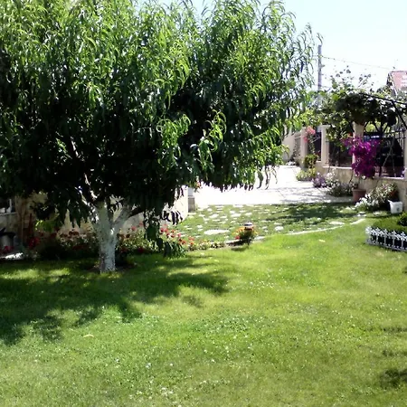 Roni Πανσιόν 3*